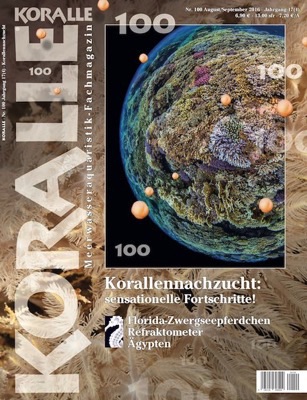KORALLE_100 web